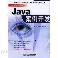 Java案例开发(项目开发风暴)
