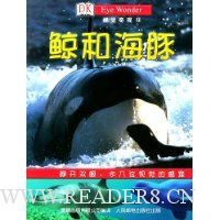 鲸和海豚:视觉奇观