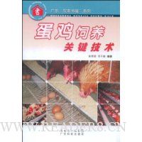 蛋鸡饲养关键技术
