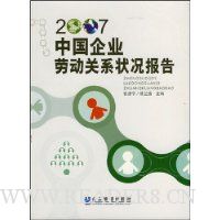  2007�й���ҵ�Ͷ���ϵ״������