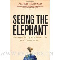  Seeing the Elephant: Understanding Globalization from Trunk to Tail
