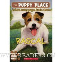  Puppy Place, the #4: Rascal