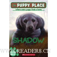  Shadow