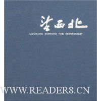 望西北(共4册)