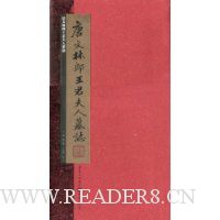 唐文林郎王君夫人墓志