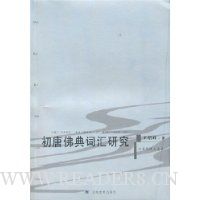 初唐佛典词汇研究