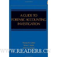  A Guide to Forensic Accounting Investigation