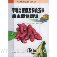 芋薯类蔬菜及鲜食玉米病虫原色图谱