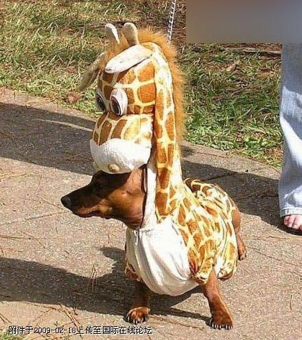 ����ʱ��