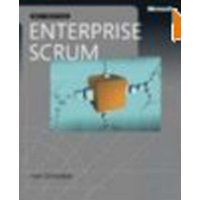  The Enterprise and Scrum