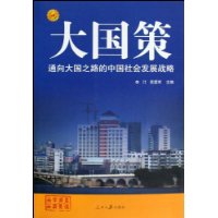 大国策:通向大国之路的中国社会发展战略