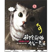 御宅萌猫钱一毛