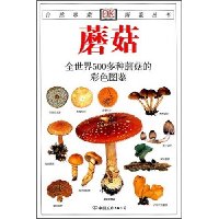蘑菇