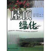 屋顶绿化