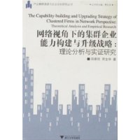 网络视角下的集群企业能力构建与升级战略:理论分析与实证研究
