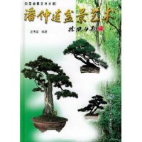  辰