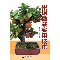  ��������ʵ�ü���