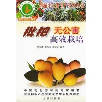  �����޹�����Ч����