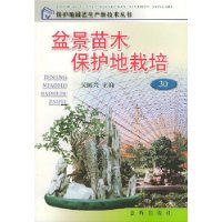  �辰��ľ����������