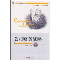 公司财务战略