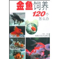  120ô