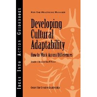Developing Cultural Adaptability: How to Work Across Differences