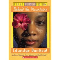  First Person Fiction