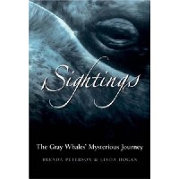 Sightings: The Gray Whales' Mysterious Journey