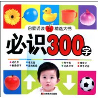  ʶ300