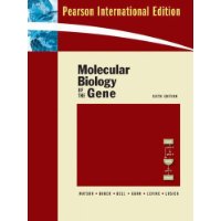  Molecular Biology of the Gene