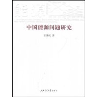 中国能源问题研究