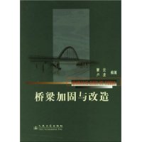 桥梁加固与改造