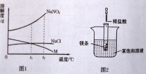 中考资源网( www.zk5u.com),专注初中教育,服务一线教师。