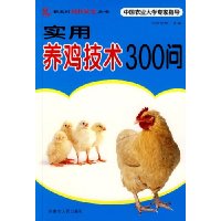  ʵ300