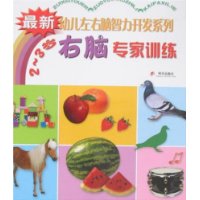 右脑专家训练(2-3岁)