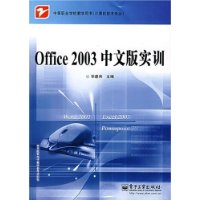 Office2003中文版实训