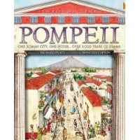  Pompeii: A Great Roman City, a Spectacular House... and the Events That Shook Them Both