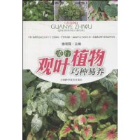 流行观叶植物巧种易养