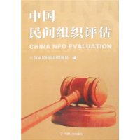 中国民间组织评估