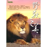 野兽之美