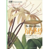 百合圣经