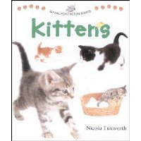  Say and Point Picture Boards: Kittens