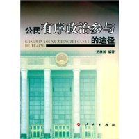 公民有序政治参与的途径