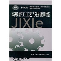 高级磨工工艺与技能训练(机械类)