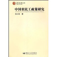 中国农民工政策研究