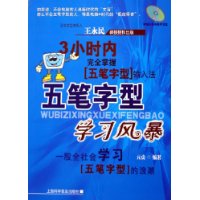 五笔字型学习风暴(附光盘)