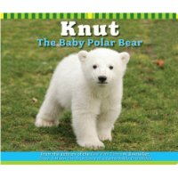  Knut The Baby Polar Bear