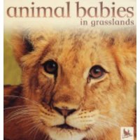  Animal Babies in Grasslands