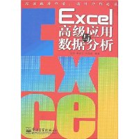 Excel高级应用与数据分析