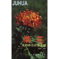 菊花(我的养花经验采撷)